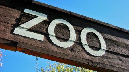 Nespočet Čechů se vrhlo na pomoc zoologickým zahradám. Zvou zvířata na oběd