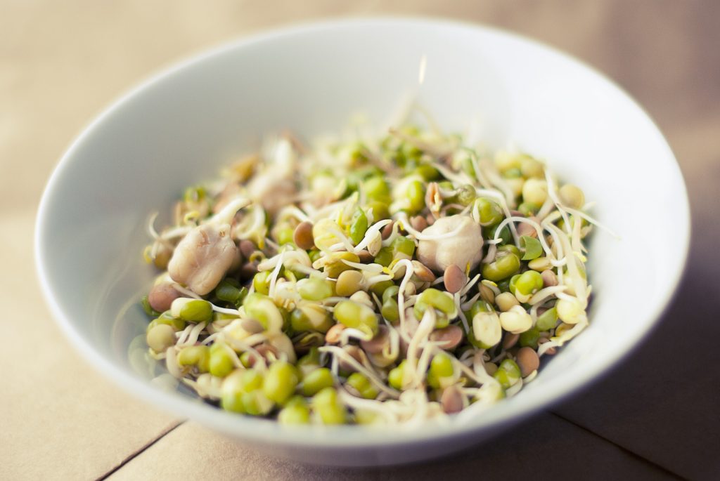 Mungo fazolky vám zachutnají i holé, přidat si je ale můžete třeba do polévky. 
Fotka od tookapic z Pixabay.