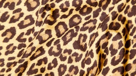Stylová trefa: Jak si užít leopardí vzor? Máme tipy pro šatník i domácnost