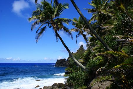 Pitcairn: Na tomto tropickém ostrově nikdo nechce žít, přitom dostanete pozemek zdarma. Tak v čem je háček?