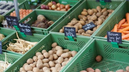 Na co si v zimě dávat pozor při nákupu brambor, čerstvého ovoce a zeleniny na veřejných tržištích