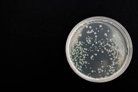 Masožravá bakterie Vibrio zabila již 11 lidí. Země varuje své obyvatele