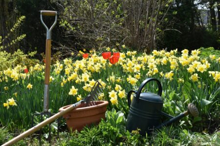 Stará hadice, čajové sáčky, mýdlo a 9 dalších: Nevyhazujte, ale efektivně použijte na zahradě